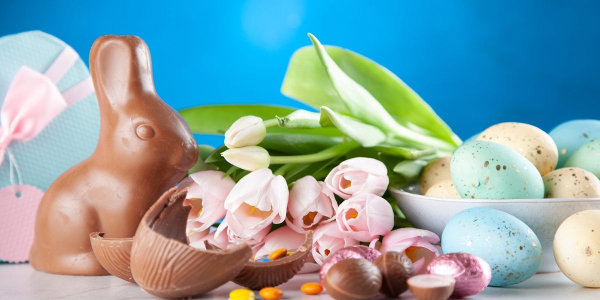 pexels-george-dolgikh-2072163